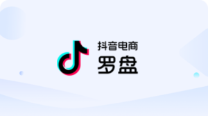 抖音电商罗盘营销模块连接器