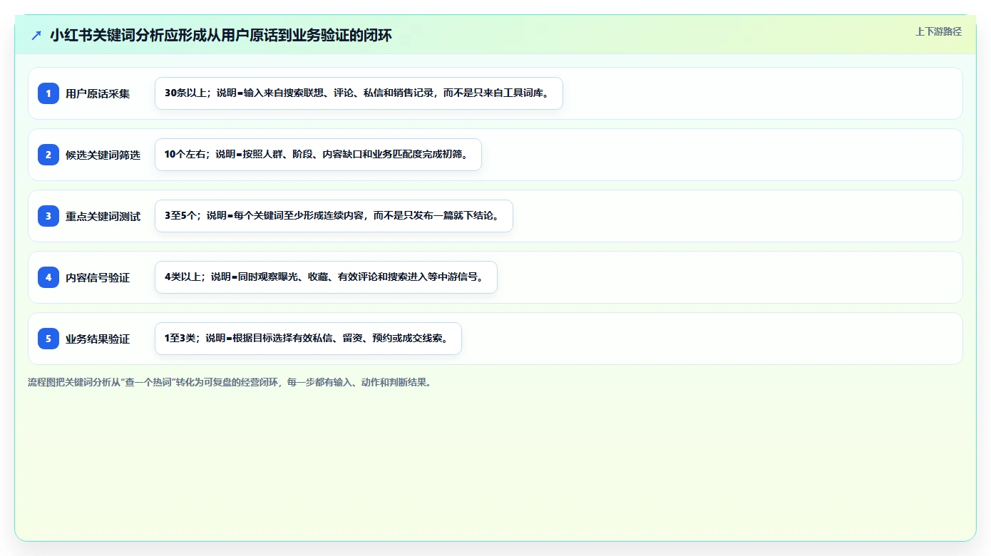 小红书数据分析：博主老板版：关键词热度的完整方法与步骤